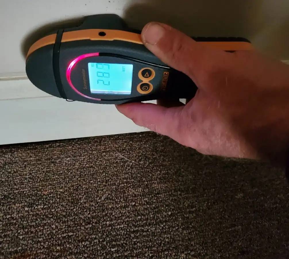 Moisture detection at baseboard during Mold Inspection & Testing in Bloomington